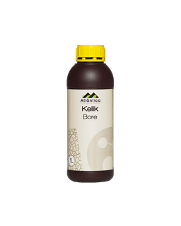 Atlantica Agricola Kelik Bore