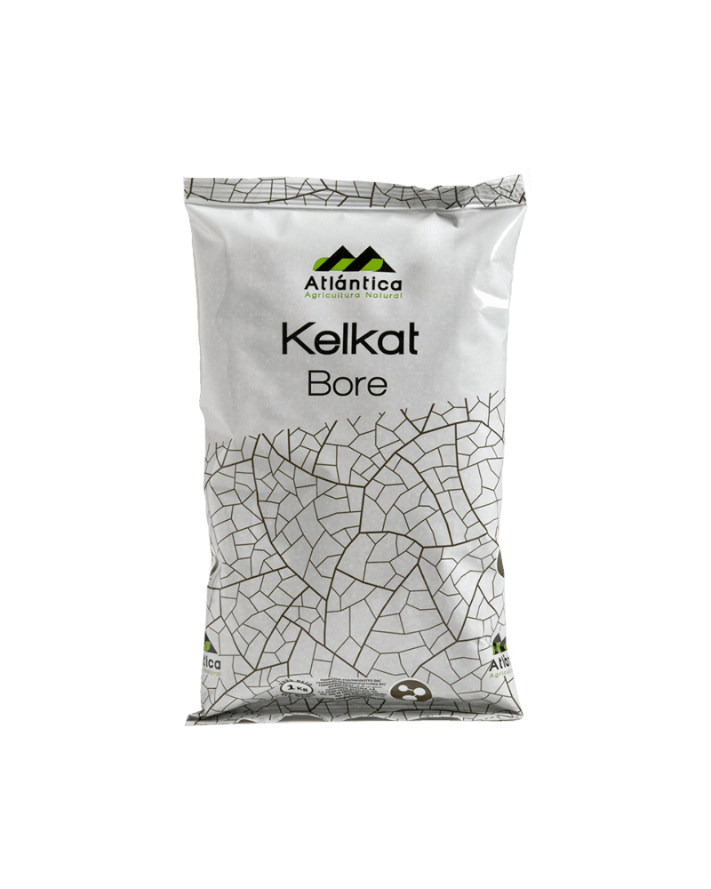 Atlantica Agricola KELKAT BORE