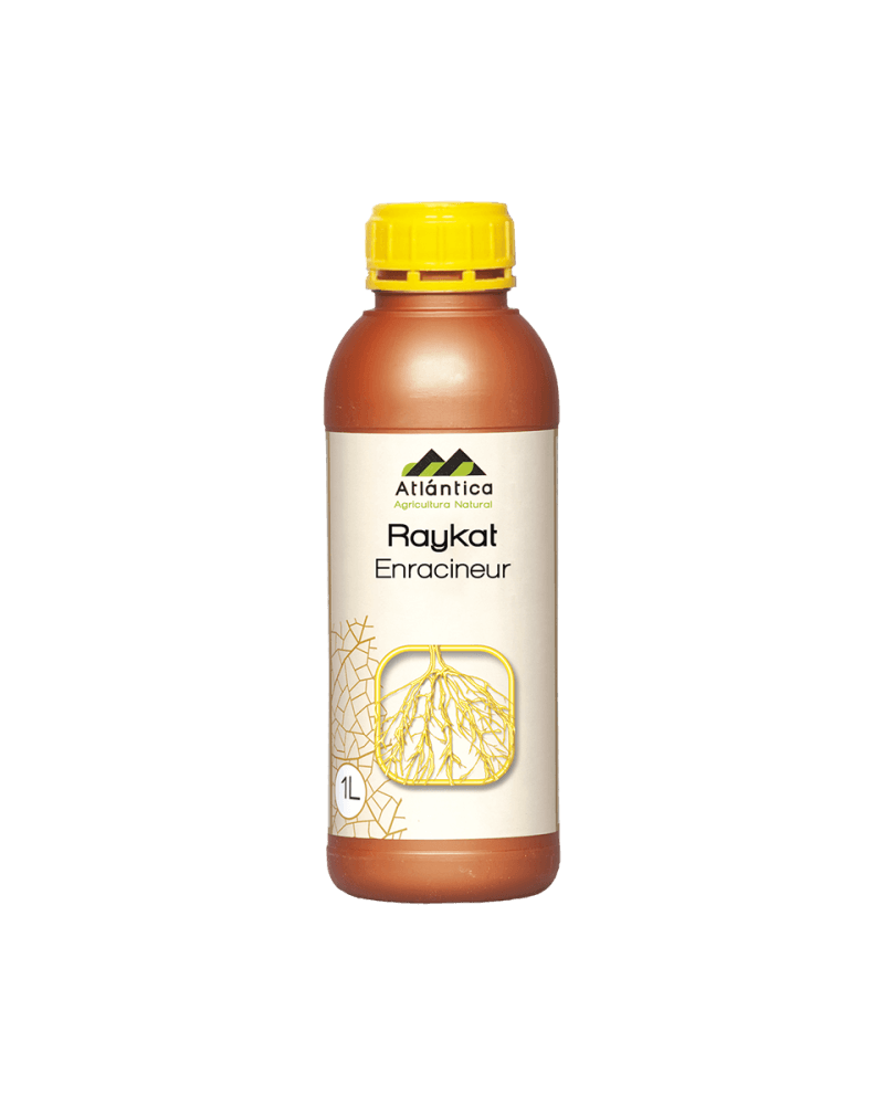 Atlantica Agricola RAYKAT ENRACINEUR