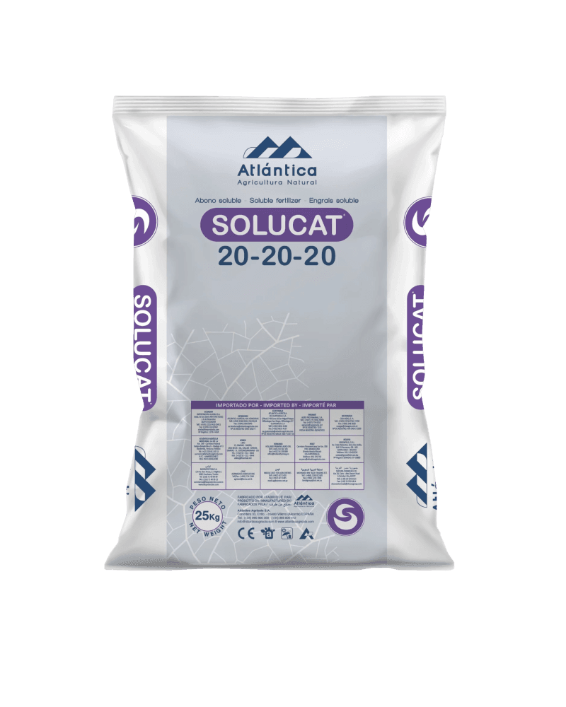 Atlantica Agricola SOLUCAT 20-20-20