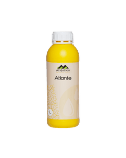 Atlantica Agricola ATLANTE
