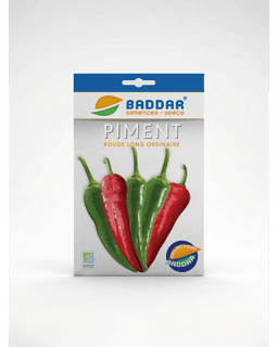 Baddar SEMENCE PIMENT ROUGE LONG ORDINAIRE