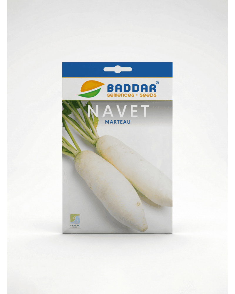 Baddar SEMENCE NAVET MARTEAU BADDAR
