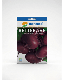 Baddar SEMENCE BETTRAVE ROUGE PLATE D'EGYPTE BADDAR