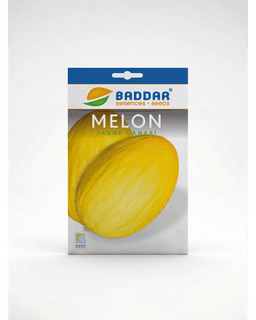 Baddar SEMENCE MELON JAUNE CANARIA BADDAR