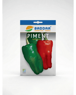 Baddar SEMENCE PIMENT BAKLOUTI BADDAR