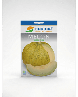 Baddar SEMENCE MELON MAAZOUN BADDAR