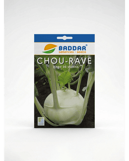 Baddar SEMENCE CHOU RAVE HATIF DE VIENNE BADDAR