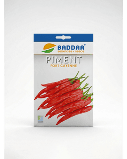 Baddar SEMENCE PIMENT FORT CAYENNE BADDAR