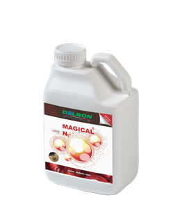 DELBON Magical N