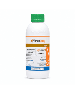 Syngenta VIBRANCE MAXX FS