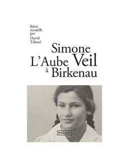 Birkenau Simone Veil, David Teboul