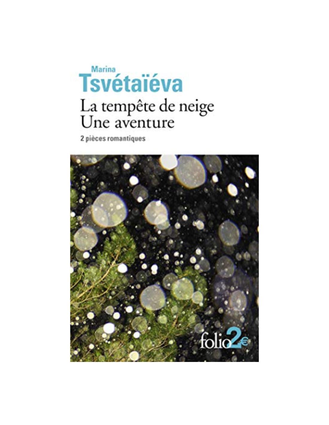 tempête de neige Une aventure Marina Tsvétaïeva