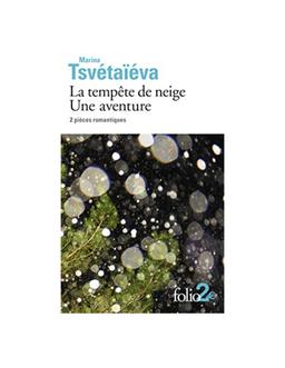 tempête de neige Une aventure Marina Tsvétaïeva
