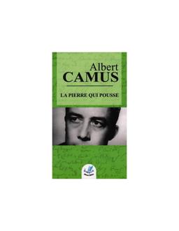 PIERRE QUI POUSSE