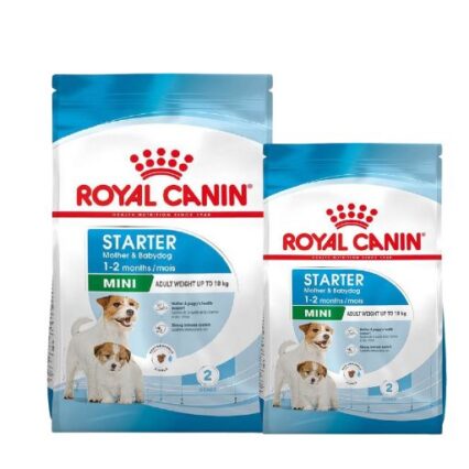 Royal Canin Mini Starter Mother & Babydog 1 kg Croquettes pour Chien Petite Race