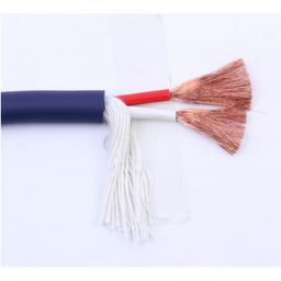 Audio Cable Professionnel Pour Haut Parleur 2x1mm