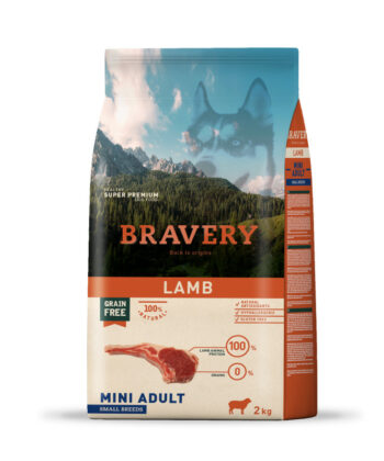 BRAVERY CHIEN MINI ADULT LAMB 2KG