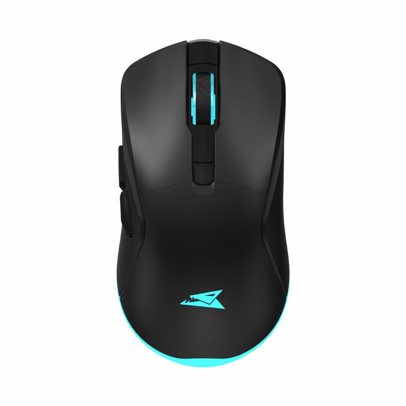 BARACUDA TURTLE BGM-121
