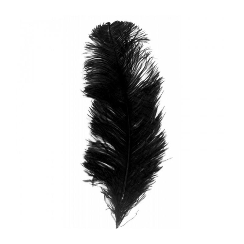 PLUMES NOIRS