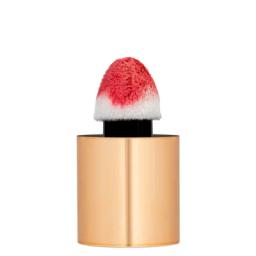 Topface Cherie Liquid Blush 005