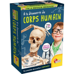 Corps Humain