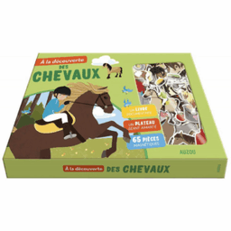 Chevaux AUZOU