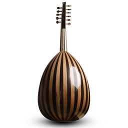 OUD ACOUSTIQUE AN1