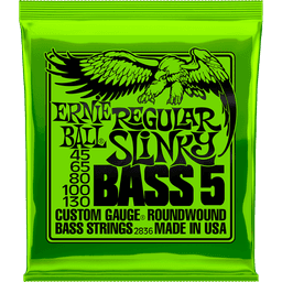 ERNIE BALL CEB 2836