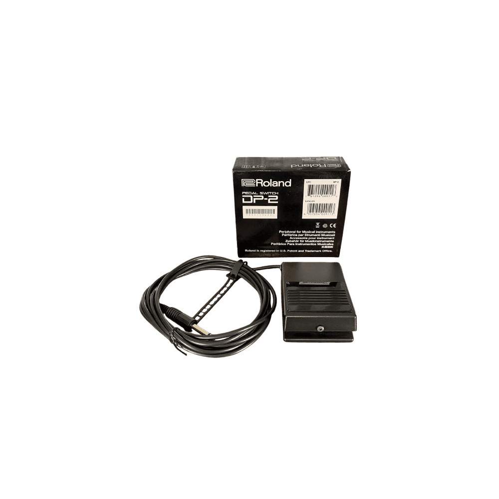 ROLAND DP-2, FOOT PEDAL SUSTAIN PEDAL