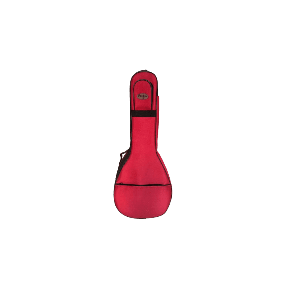 PANDORA ETUI REMBOURRÉ POURN GUITAR CLASSIC