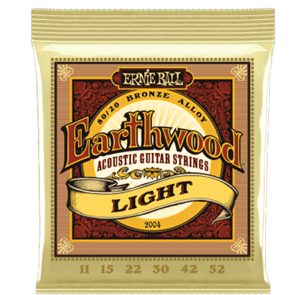 ERNIE BALL CEB