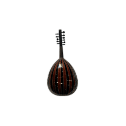 OUD ACOUSTIQUE-AN2