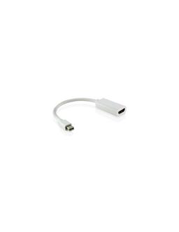 Display Adaptateur Port vers HDMI Femelle HD-L0120