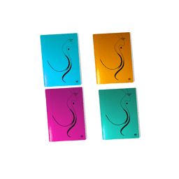 Piqure Cahier WIRO KO 24x 32 Couverture Plastique 96 Pages
