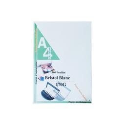 feuilles page de garde 170G BRILLANT