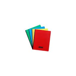 Brochure Cahiers Seyes Calligraphe 17x 22 192P 90G Assortis