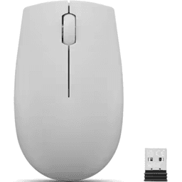 Lenovo SANS FIL COMPACT 300 ARCTIQUE
