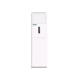 Biolux ARMOIRE 60000 BTU CHAUD FROID ECO60CF