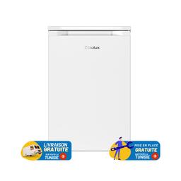Biolux Vertical De Frost une Porte 80 Litres