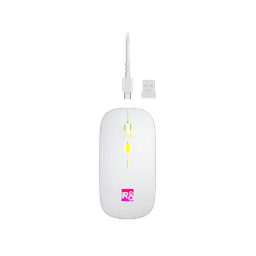 Rechargeable R8 1715