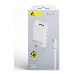 Sasathree Chargeur SC01T Rapide 6A