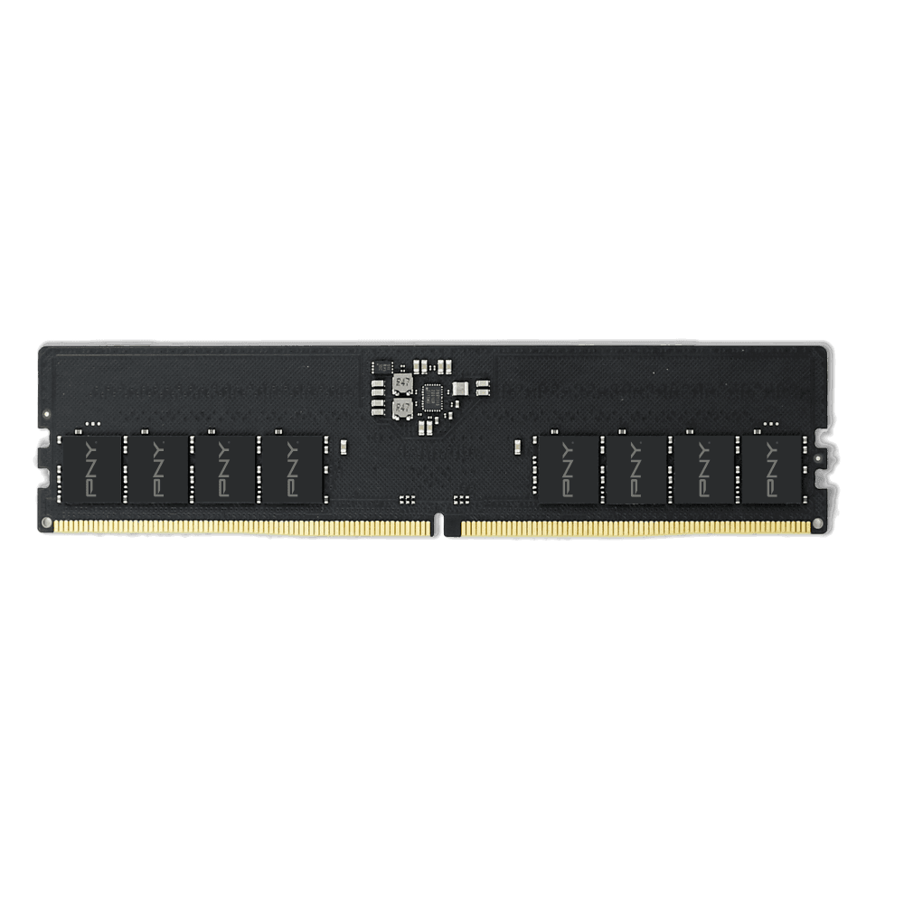 BARETTE MÉMOIRE PNY MÉMOIRE DIMM DDR5 5600
