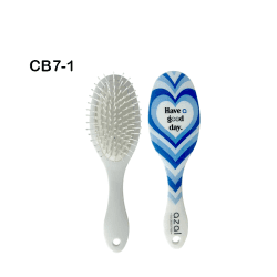 Ovale Brosse PM